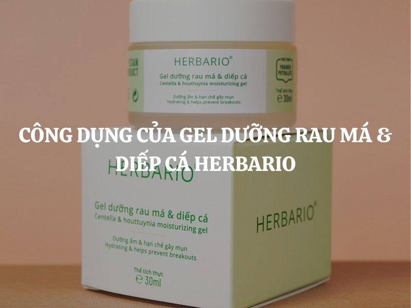 Công dụng của Gel dưỡng rau má & diếp cá Herbario - Giải pháp dưỡng ẩm và hỗ trợ chăm sóc da dầu mụn